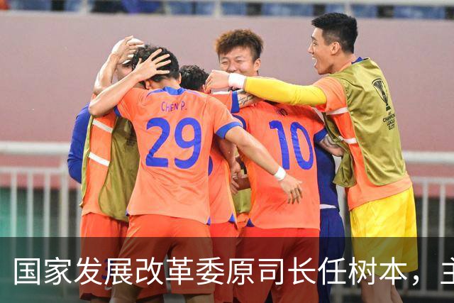 国家发展改革委原司长任树本，主动投案